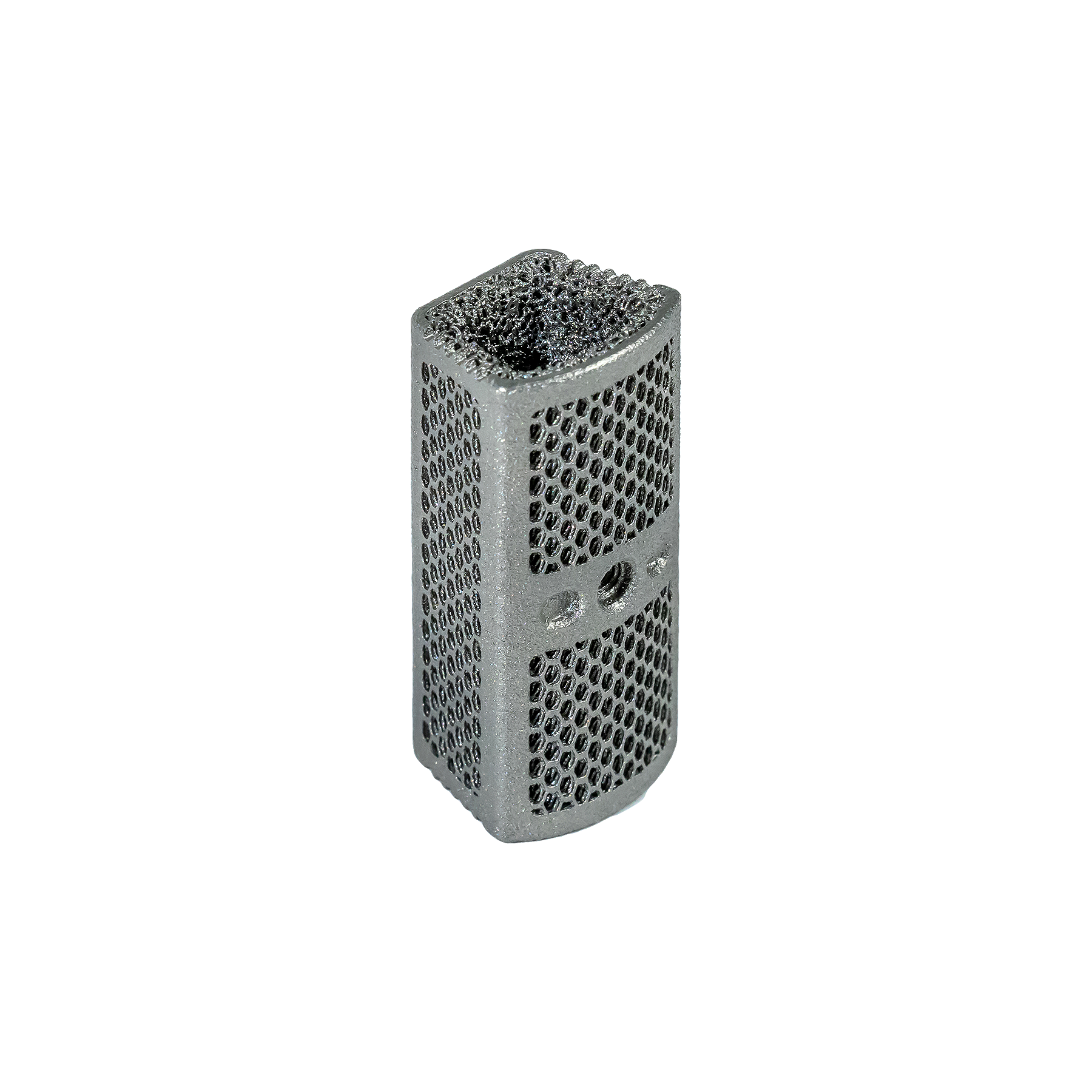 F3D Corpectomy VBR System