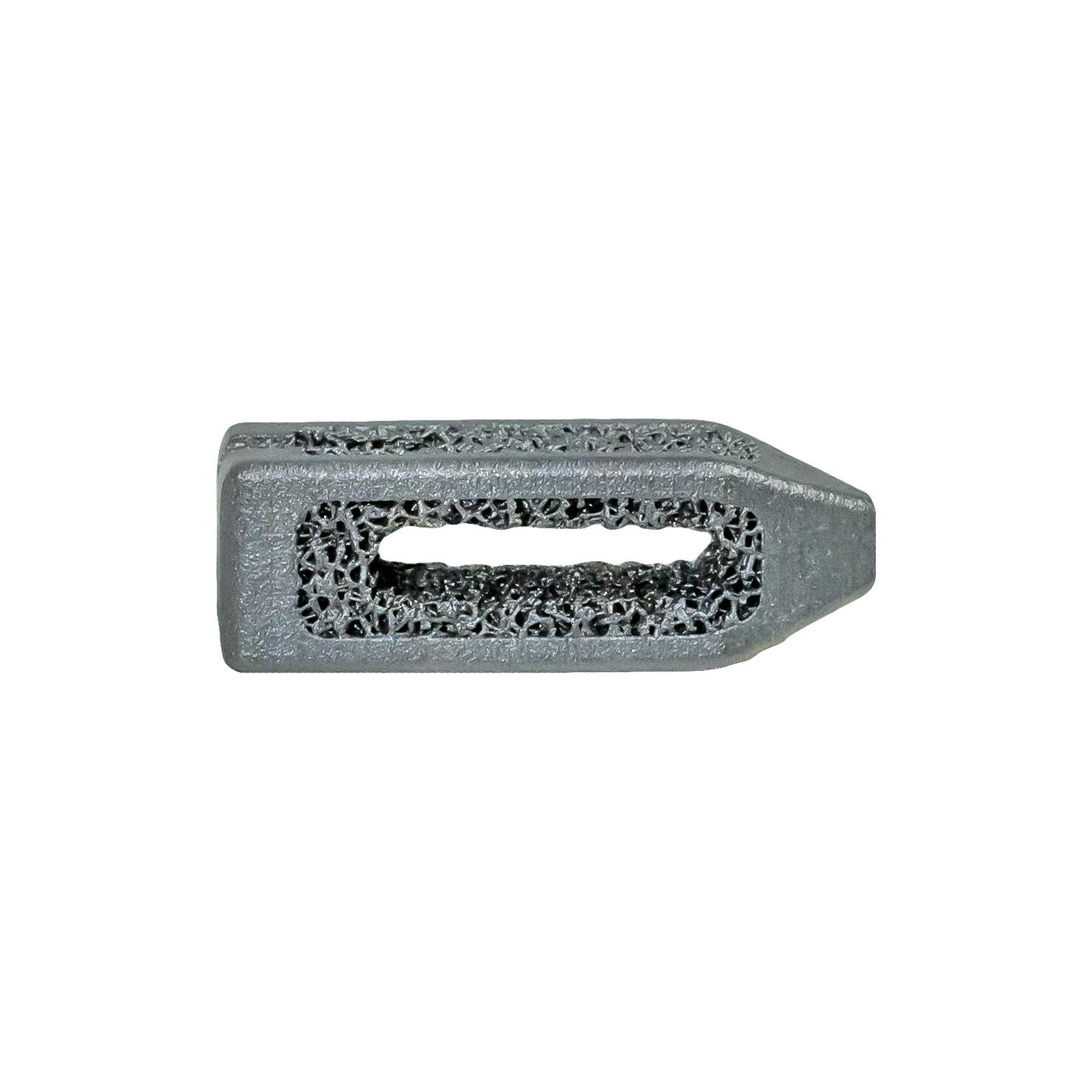 CL5 PLIF/TLIF Interbody System