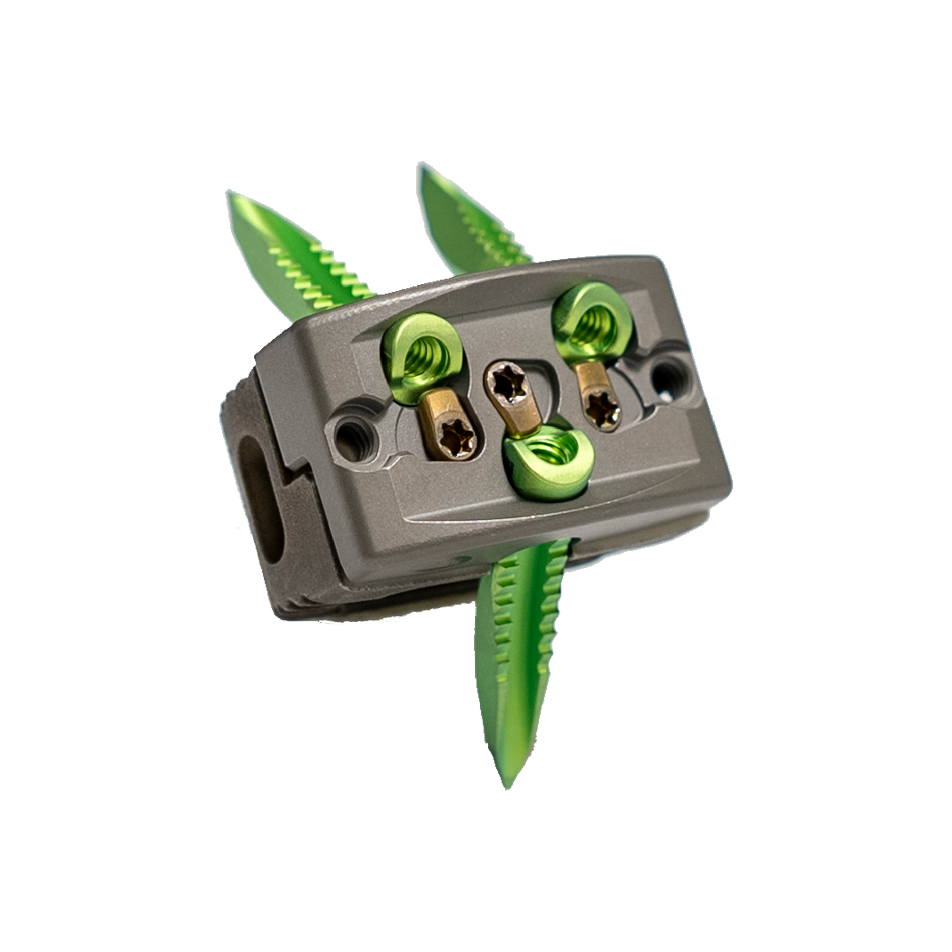 CL5 ALIF Interbody System